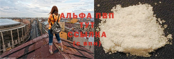 спиды Гусь-Хрустальный