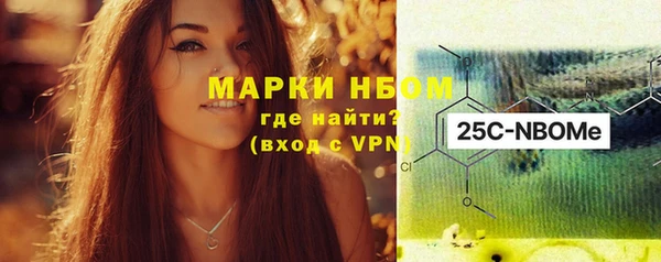 гидропоника Гусиноозёрск