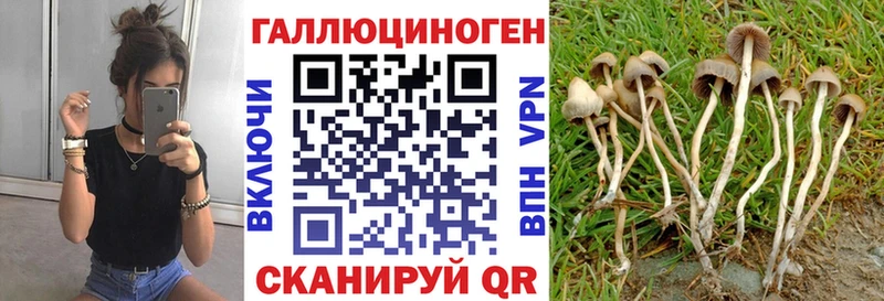 ОМГ ОМГ вход  магазин  наркотиков  Бодайбо  Галлюциногенные грибы Cubensis 
